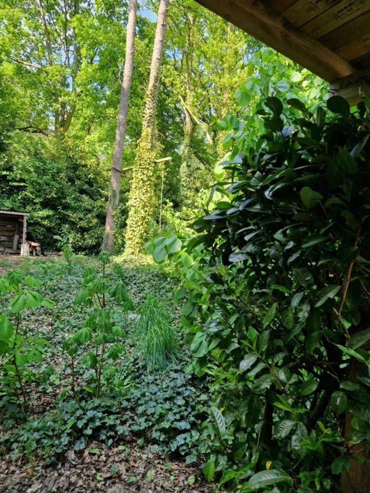 Benb Op De Vleet Vrijstaande Accommodatie Plantage Centrum Exteriér fotografie
